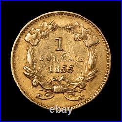 1855 G$1 Indian Princess Gold Dollar Tough Variety Type 2 NGC AU Dets- G5008 1855 G$1 Indian Princess Gold Dollar Tough Variety Type 2 NGC AU Dets- G5008