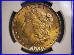 1883 O Morgan Silver Dollar Stunning Gold Toning Toned Ngc Ms64 Toner Coin