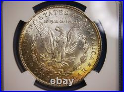 1883 O Morgan Silver Dollar Stunning Gold Toning Toned Ngc Ms64 Toner Coin