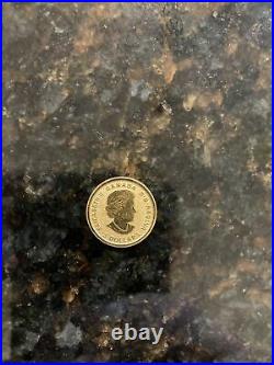 1/10 oz Gold Canadian Arrowhead $5 Coin