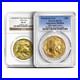 1_oz_American_Gold_Buffalo_Coin_MS70_Random_Year_Label_PCGS_or_NGC_01_qmrt