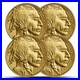 1_oz_American_Gold_Buffalo_Coin_Random_Year_01_rw