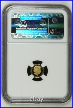 2013 1/20 oz Gold Britannia coin NGC PF69 Ultra Cameo Great Britain