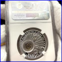 2014 Niue 24K Gold Gilt Good Luck Series Horseshoe. 999 Silver Coin 1 of 1 Mint