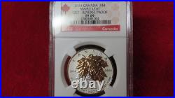 2014 Reverse Proof $4 Silver Maple Leaf Incused Gold Gilt Canada PF69 NGC