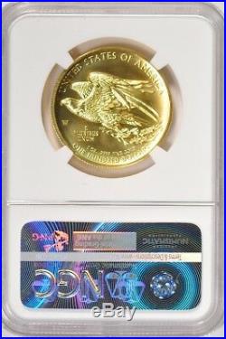 2015 W $100 NGC MS 70 American Liberty High Relief Gold 1 oz. 9-002