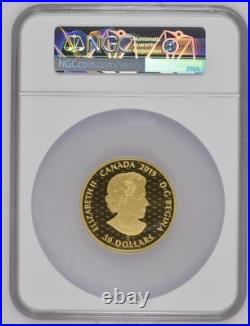 2019 Gilt Canada S $30 Hundred Blessings of Good Fortune PF 70 Ultra Cameo 2019 Gilt Canada S $30 Hundred Blessings of Good Fortune PF 70 Ultra Cameo
