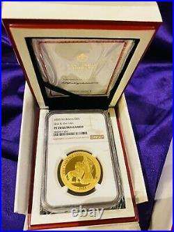 Huge Collection Of US Coins – Gold, Silver, Bronze – Includes Mint, Proof, And PF70 Graded Coins