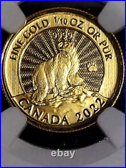 2022 Canada 1/10 oz gold Majestic Polar Bear NGC MS70 ER