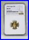 2023_5_American_Gold_Eagle_1_10_oz_NGC_MS70_Brown_Label_01_uji