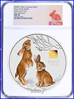 2023 Lunar Year of the Rabbit 1 Kilo Silver $30 Coin NGC MS70 with Gold Privy Mark