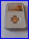2024_5_American_Gold_Eagle_1_10_oz_NGC_MS70ER_ALS_Label_0_9167_Gold_01_rrbi