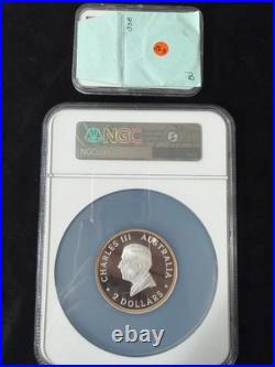 2024 Australia 2 oz Proof Gold Gilt NGC PF70 FDI 125th Anniversary Large Slab