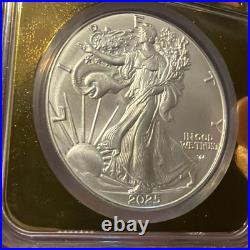 2025 Eagle? Early Release? NGC MS70? Vegas Gold Label