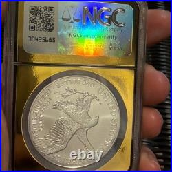 2025 Eagle? Early Release? NGC MS70? Vegas Gold Label