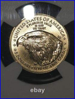 2025 Eagle G$5 Ms70 NGC Official Red Book Premium Slab Beautiful Coin