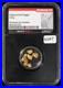 3_07_grams_California_Gold_Nugget_AGW_1_10_oz_Vaultbox_NGC_Genuine_G6167_01_ug