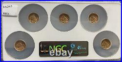 5-Gold Indian $2.5 Short Set (1925-D, 1926, 1927, 1928. 1929) NGC MS62 5-Gold Indian $2.5 Short Set (1925-D, 1926, 1927, 1928. 1929) NGC MS62