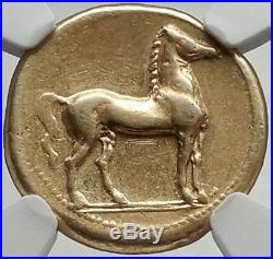 CARTHAGE Genuine Ancient 320BC Electrum Gold Silver Alloy Greek Coin NGC i68162