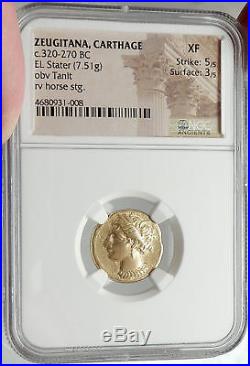 CARTHAGE Genuine Ancient 320BC Electrum Gold Silver Alloy Greek Coin NGC i68162