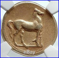 CARTHAGE Genuine Ancient 320BC Electrum Gold Silver Alloy Greek Coin NGC i81770