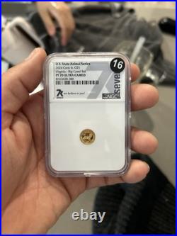 Cook Islands 2022 Virginia Big-Eared Bat Gold Proof Coin NGC PF 70 Ultra Cameo