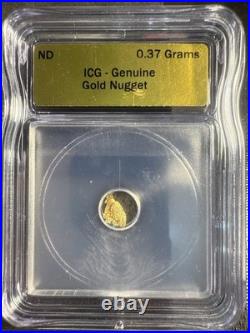 Lot Coins Nice Morgan Silver Dollar, Cool Aussie Kangaroo, &. 37 Grams Of Gold Lot Coins Nice Morgan Silver Dollar, Cool Aussie Kangaroo, &. 37 Grams Of Gold