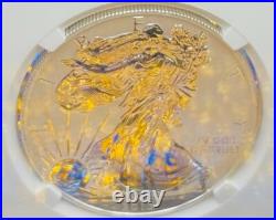 Mint Rev Proof 2013 W $1 Silver Eagle NGC PF70 UC OFFICIAL US MINT SET Gold Star Mint Rev Proof 2013 W $1 Silver Eagle NGC PF70 UC OFFICIAL US MINT SET Gold Star