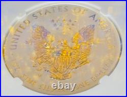 Mint Rev Proof 2013 W $1 Silver Eagle NGC PF70 UC OFFICIAL US MINT SET Gold Star Mint Rev Proof 2013 W $1 Silver Eagle NGC PF70 UC OFFICIAL US MINT SET Gold Star