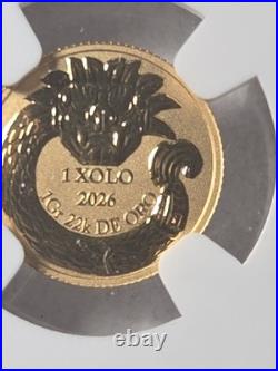 VERY Rare Arte Popular Mexicano 2026 1g Medal Gold 1 Xolo 1st Day Of Issue MS-70